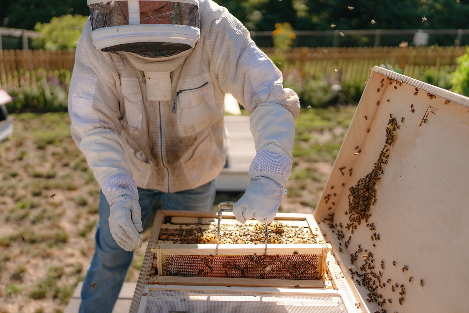 ws hive solution working height