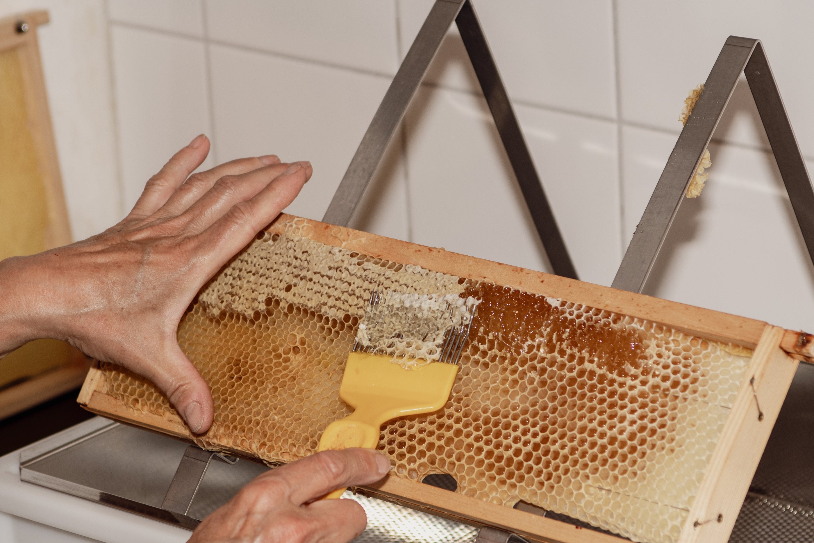 ws bees caring
