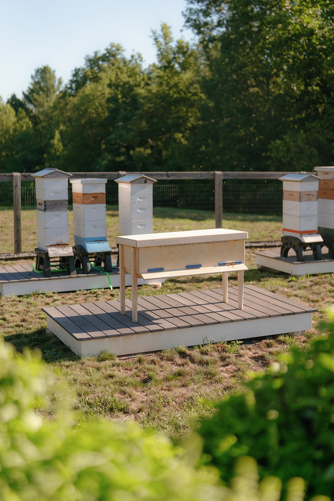 ws built cta apiary