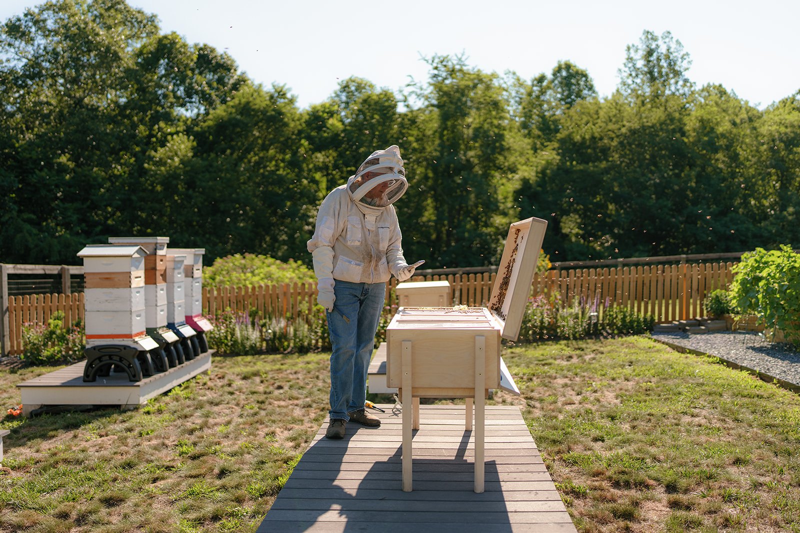 ws hive cta apiary wide