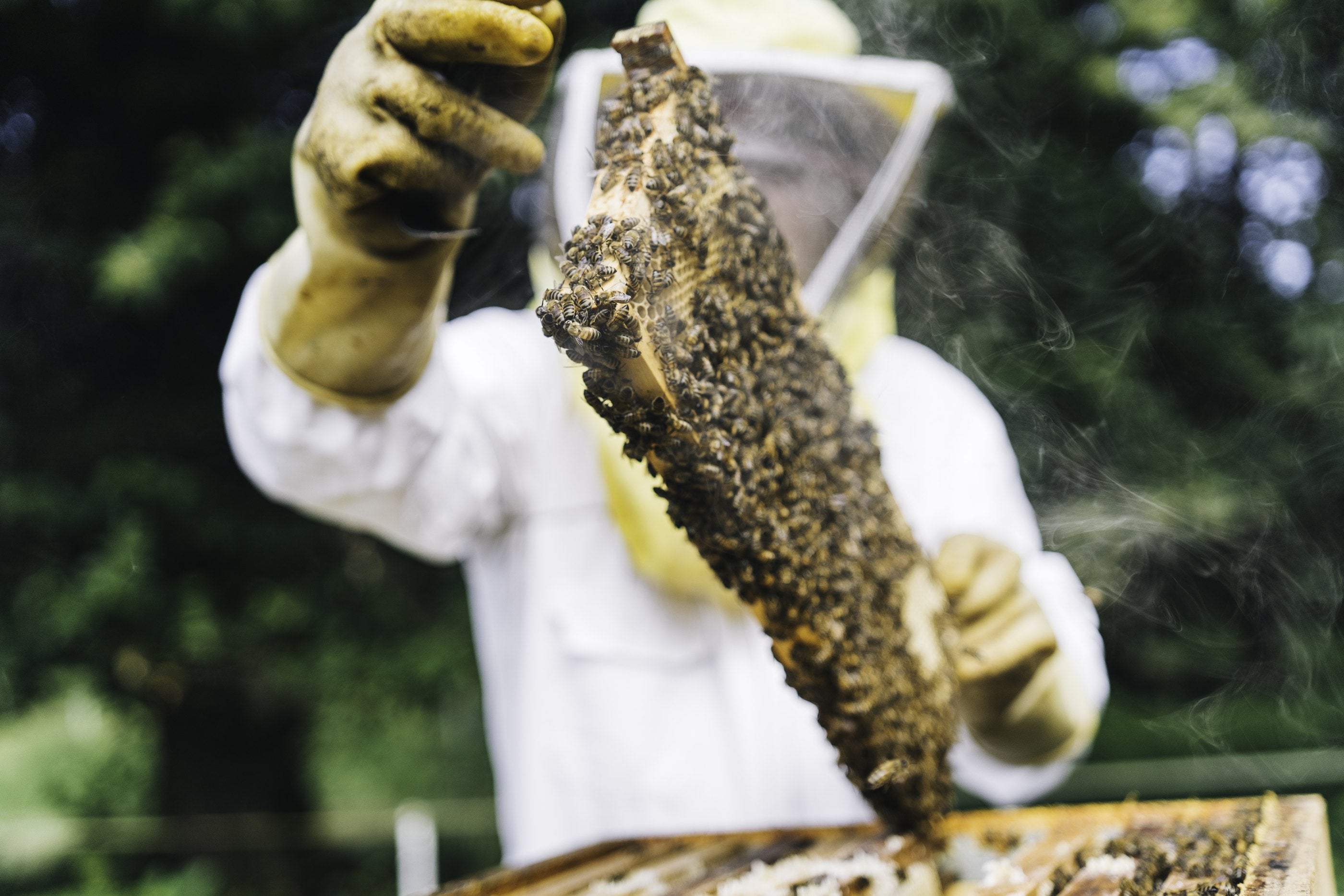ws hive problem heavy lift