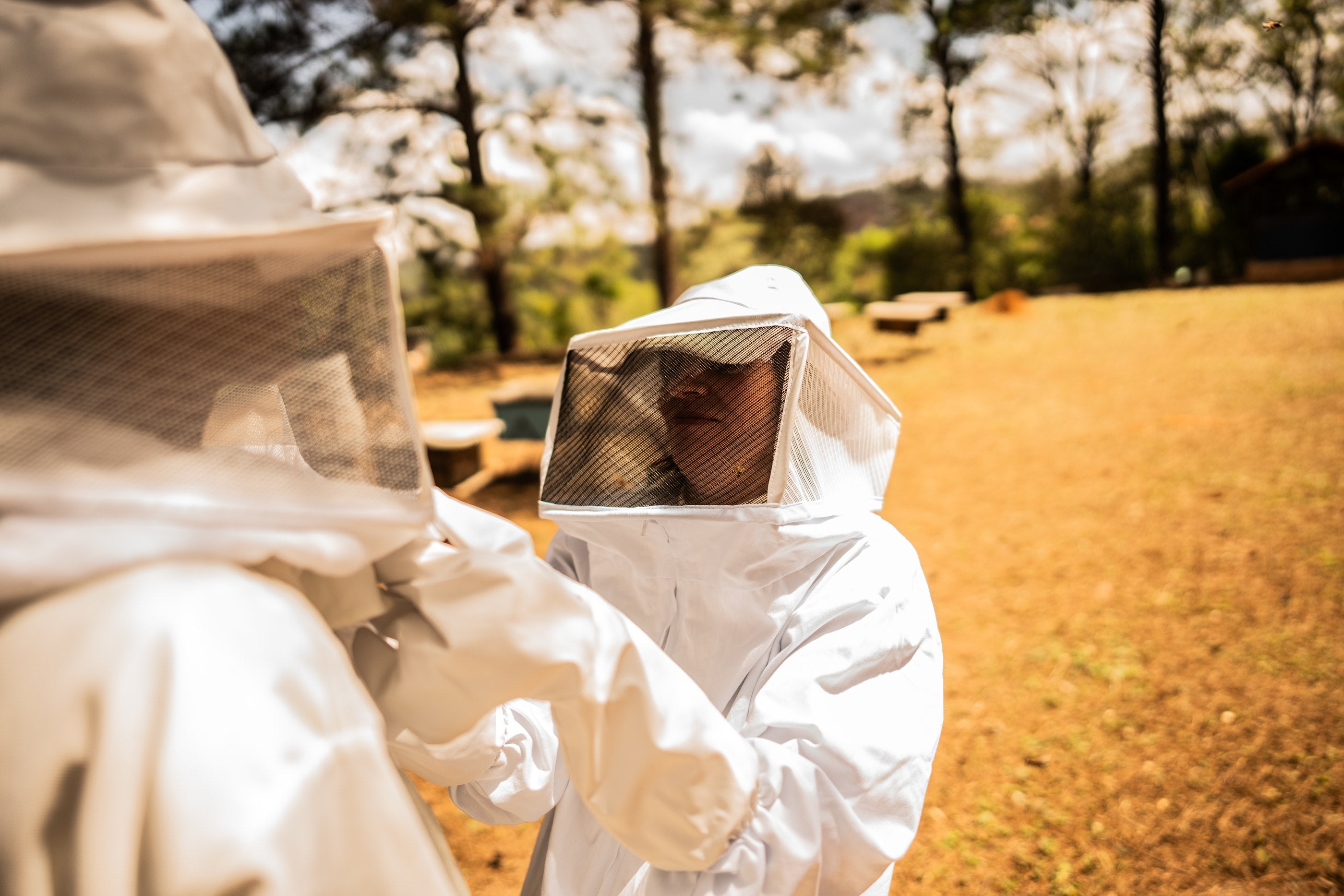 ws pro cta apiary